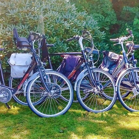 Vakantiehuis Hollum Ameland Dichtbij Strand En Met Ruime Tuin - Ameland39 Nl المظهر الخارجي الصورة