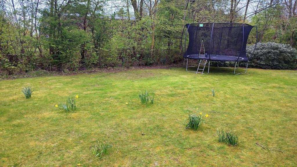 Vakantiehuis Hollum Ameland Dichtbij Strand En Met Ruime Tuin - Ameland39 Nl المظهر الخارجي الصورة