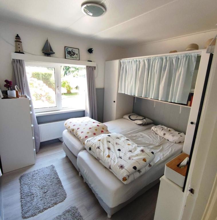Vakantiehuis Hollum Ameland Dichtbij Strand En Met Ruime Tuin - Ameland39 Nl المظهر الخارجي الصورة